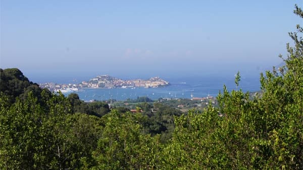 Mountainbiken auf Elba.