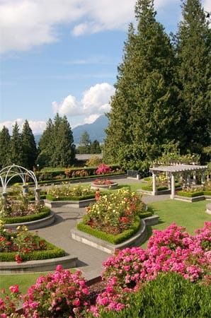 Rosengarten im Stanley Park, Vancouver, Kanada.