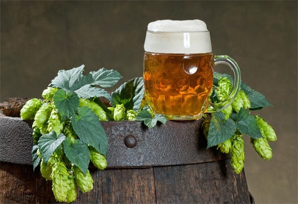Bier als Lebenselixier? Ja, denn eine Studie hat gezeigt, dass regelmäßiger Biergenuss die Lebenserwartung deutlich erhöhen kann.