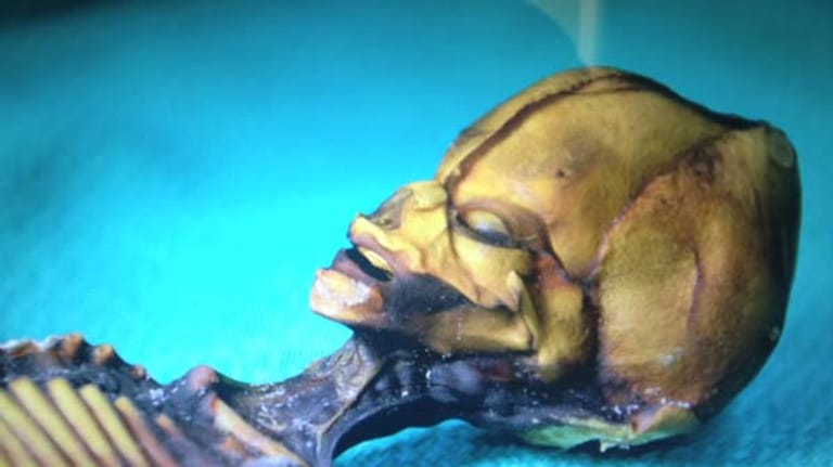 Mumie "Ata": Die winzige Leiche wurde 2003 in einem Geisterdorf in der chilenischen Atacama-Wüste gefunden. Ein Ufologe sah den Beweis für außerirdisches Leben erbracht. Untersuchungen renommierter Wissenschaftler brachten nun Aufklärung.