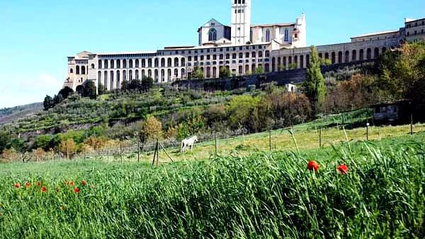 Der Franziskusweg führt von Florenz nach Rom auf den Spuren des Heiligen Franziskus.