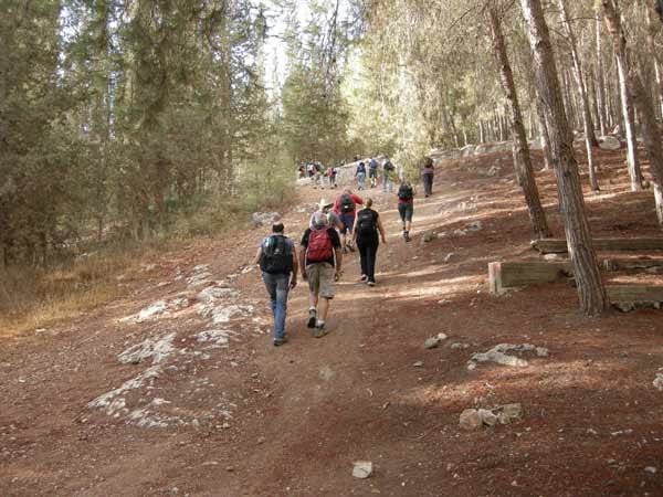 Wandern auf dem Israel National Trail.