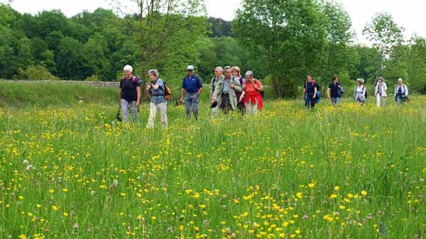 Wandern auf dem Oberschwäbischen Pilgerweg.