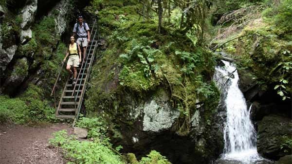 Schluchtensteig: Lotenbachklamm.