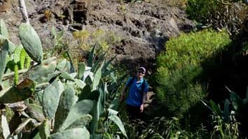 Teneriffa: Wanderung in die Masca-Schlucht.