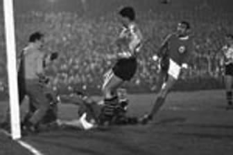 Eine der größten Sternstunden des BVB liegt schon ein halbes Jahrhundert zurück: 1963 trifft die Borussia im Achtelfinale des Landesmeister-Pokals auf Benfica Lissabon mit Superstar Eusebio. Nach einer 1:2-Niederlage in Portugal fegt Dortmund die Gäste im Rückspiel mit 5:0 aus dem Stadion Rote Erde. Im Halbfinale scheitern die Schwarz-Gelben am späteren Titelgewinner Inter Mailand.