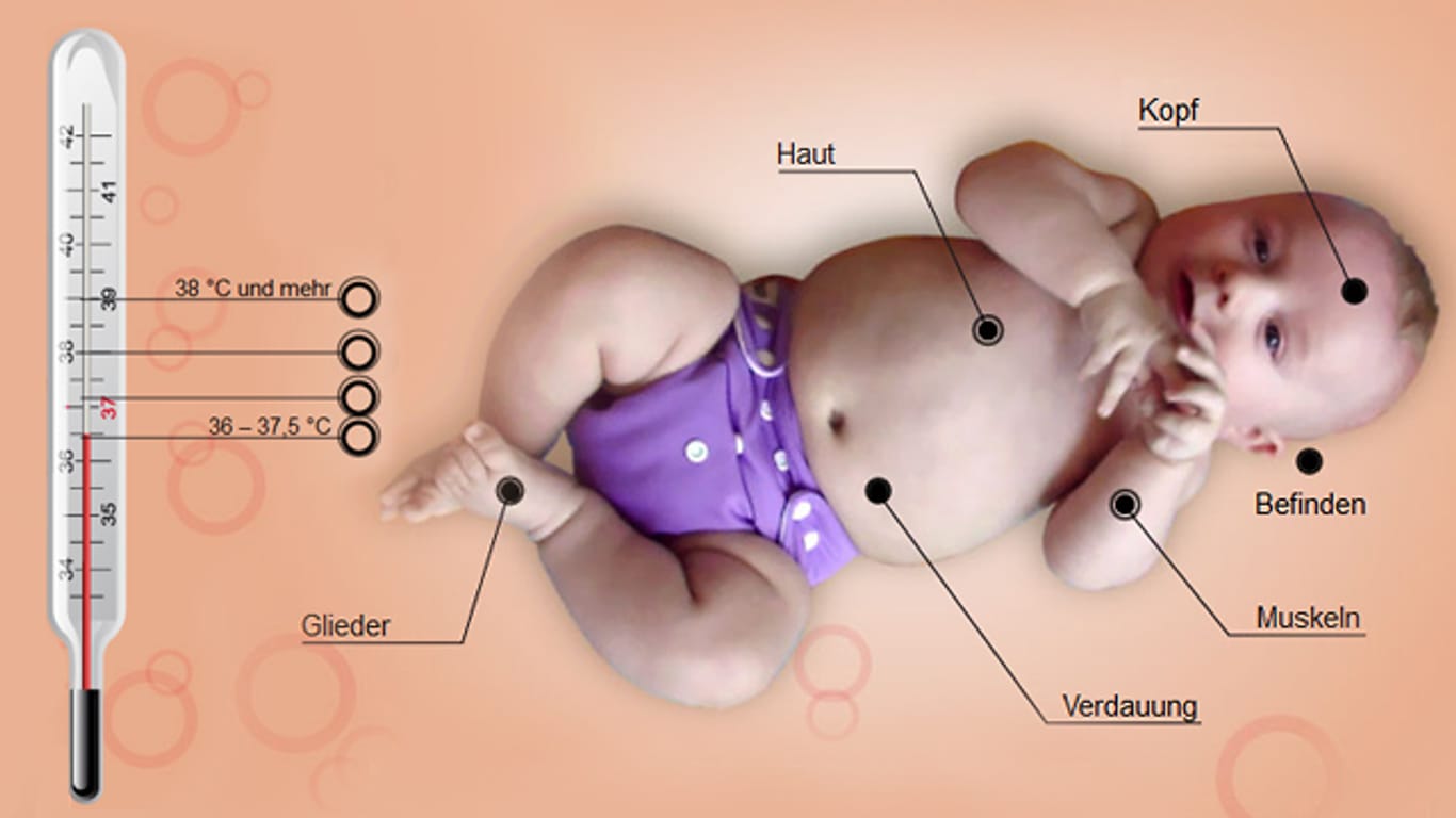 Unsere interaktive Grafik zeigt, wie sich Fieber auf den Körper eines Kindes auswirkt - einfach auf das Bild klicken.