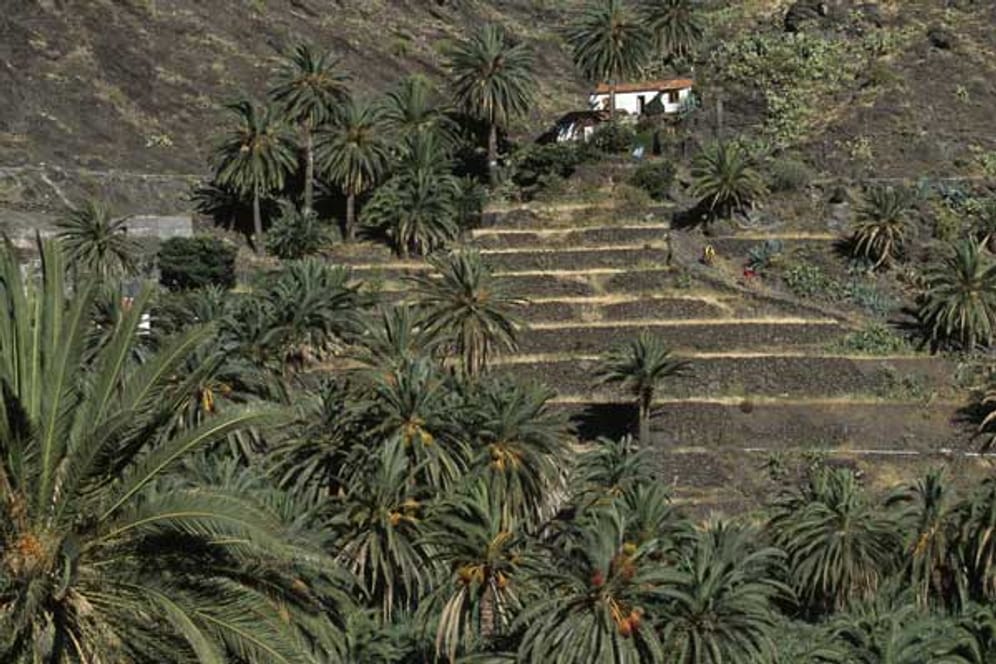 Valle Gran Rey auf La Gomera.
