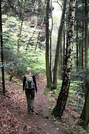 Murgleiter, Etappe 1: Wandern auf schmalen Waldweg.