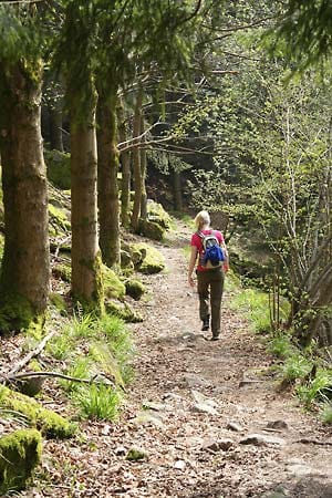 Murgleiter, Etappe 2: Wandern auf einem Trampelpfad.