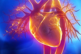 Ein vergrößertes Herz kann sich durch koronare Herzkrankheiten, aber auch Bluthochdruck entwickeln.