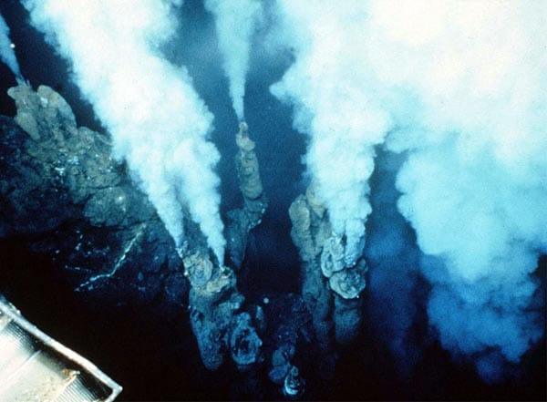 Beim Abtauchen der Erdplatten quillt neben Magma auch heißes mineralhaltiges Wasser aus der Tiefe - wertvolle Biotope mit vielen Lebewesen entstehen an diesen Orten.