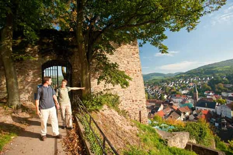 Auf dem Pfälzer Höhenweg wandern zur Burg Neu-Wolfstein.