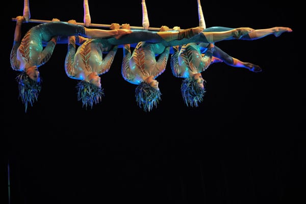 Der "Cirque du Soleil"-Gründer Guy Laliberté erklärte, er sei "untröstlich". "Wir alle sind am Boden zerstört", schrieb er auf Facebook. Der "Cirque du Soleil"-Gründer Guy Laliberté erklärte, er sei "untröstlich". "Wir alle sind am Boden zerstört", schrieb er auf Facebook.
