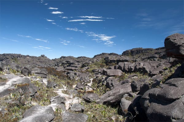 Die Indianer, die zu Füßen des Tafelberges lebten, und auch später im 18. und 19. Jahrhundert europäische Entdecker - keiner von ihnen versuchte je den Roraima-Tepui zu erklimmen.