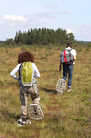 Wandern im Moor, Store Mosse Nationalpark, Schweden.