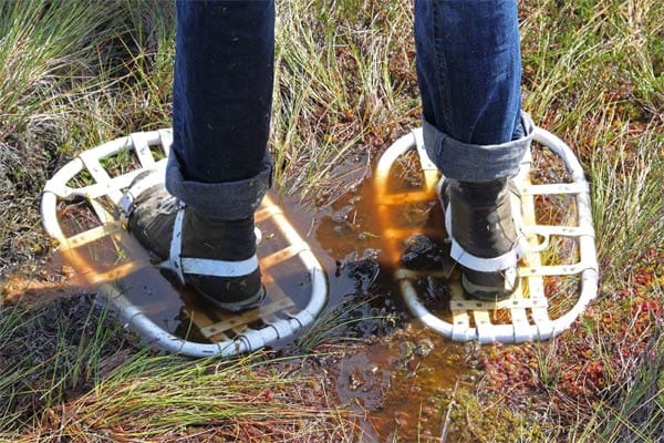 Mit Schneeschuhen im Hochmoor. Mit Schneeschuhen im Hochmoor.