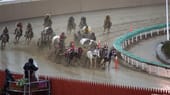 Bei den Chuckwagon Races treten pro Rennen vier Teams gegeneinander an – je ein Planwagengespann sowie zwei Verfolger zu Pferd, die sogenannten Outrider.