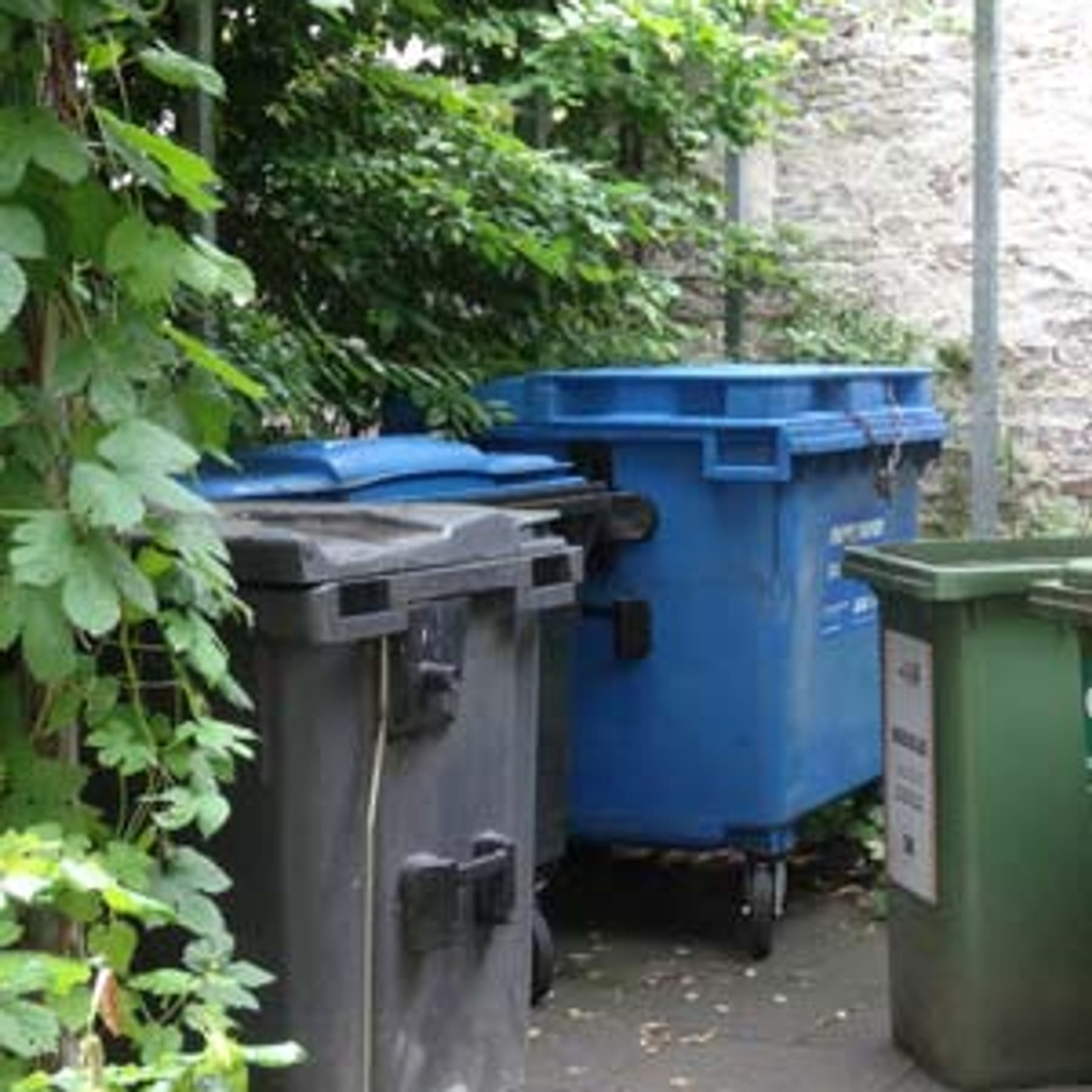 Zehn Tipps gegen stinkende Mülleimer
