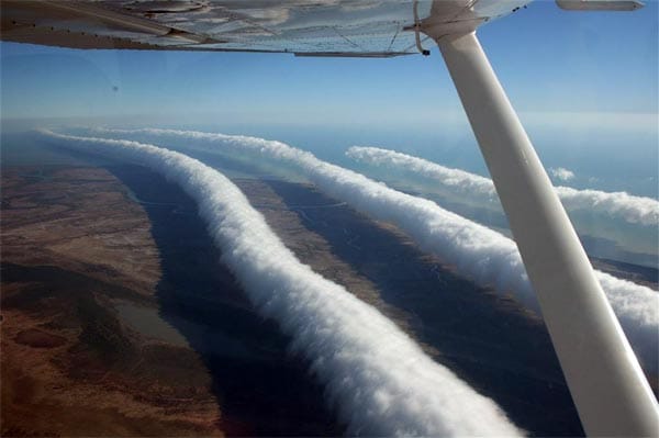 Eine Wolke, die mehrere hundert Kilometer lang ist, rollt regelmäßig im Frühling über den nordaustralischen Golf von Carpentaria: die Morning Glory Cloud. Ihren Namen verdankt sie der Uhrzeit, zu der sie an der Küste Queenslands ankommt. Vor der Frontseite der Wolke befinden sich starke Aufwinde, während im hinteren Bereich der Wolke die Luft absinkt und turbulent wird.