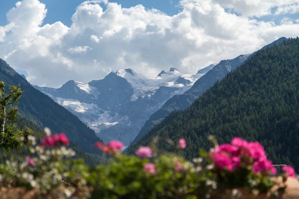Wandern mit Bernhardinern: Der Nationalpark Gran Paradiso liegt in den Regionen des Aostatals und Piemonts.