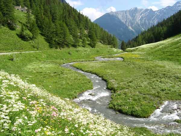 Wandern mit Bernhardinern: Die Walliser Alpen bieten wunderschöne Landschaftsbilder...