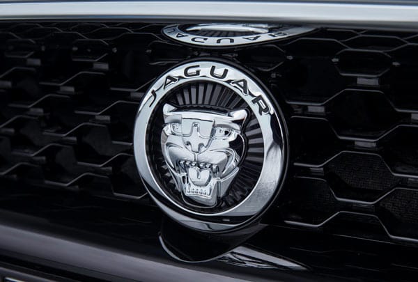 Stolz prangt der Jaguar auf der Leichtbau-Karosserie des F-Types.