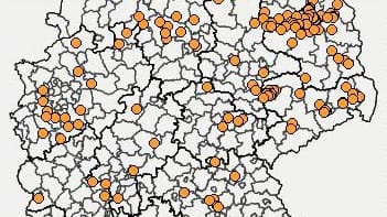 Exotische Mücken breiten sich in Deutschland aus