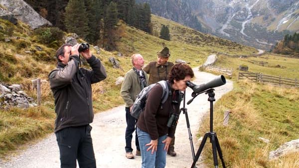 Vom Berufsjäger erhalten Gäste spannende Informationen zum Rotwild in der Paarungszeit. Die Tour zur Hirschbrunft dauert etwa zwei Stunden, wobei die Wanderung 20 Minuten in Anspruch nimmt und sich auch gut für Familien eignet.