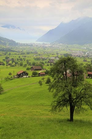 Natürlich bieten die heimischen, jagenden Wirte feine Wildmenüs und -buffets an. Weitere Informationen zu den mehr als 50 weiteren Veranstaltungen im Kanton Luzern finden Sie unter hubertuswoche.ch