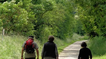 Empor zum Bier: Drei Wanderer beim Aufstieg zum Staffelberg in Franken.