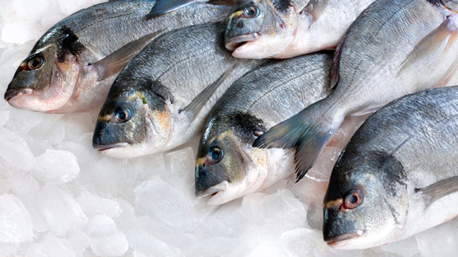 Fisch: Das besondere am Fisch sind die Omega-3-Fettsäuren. Sie sind für viele Funktionen des Körpers wichtig – unter anderem für unser Gehirn. Besonders reich an Omega-3-Fettsäuren sind Fischsorten wie Hering, Makrele, Thunfisch und Lachs.