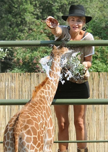 Sängerin Sarah Connor tauft das Giraffenbaby "Kerstin".
