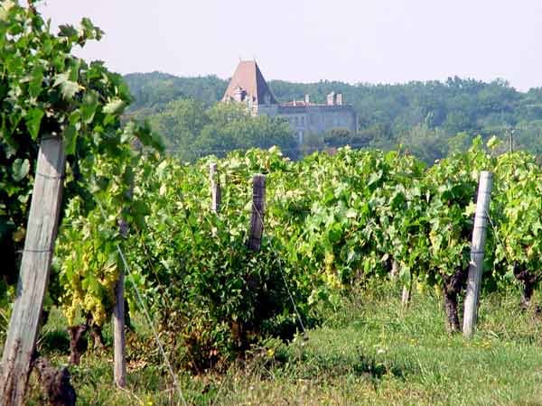 Der lange Herstellungsprozess von Grand Marnier beginnt im Herzen der Region Cognac im Château von Bourg-Charente in Frankreich. Es liegt inmitten der Weinanbaugebiete Grande- und Petite Champagne.