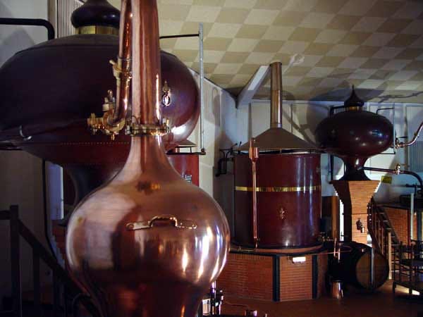 In knapp 200 kleinen Brennereien aus der Region wird der Cognac hergestellt und an das Familienunternehmen geliefert.