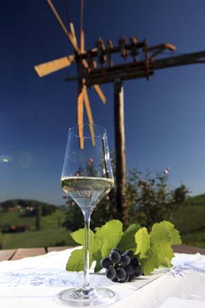 In Österreich sind neben dem Weinviertel in Niederösterreich die Winzerbetriebe der Region Sulmtal Sausal in der Südsteiermark ein echter Geheimtipp. Dort zählen die Rieden zu den steilsten Europas und müssen noch von Hand bearbeitet werden.
