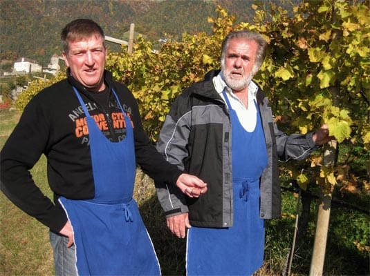 Südtirol wird zum Weißweinland: Winzer Sepp Winkler und Alois Verdorfer.