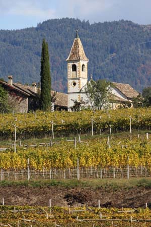 Das größte Weinbaugebiet Südtirols befindet sich rund um Eppan an der Weinstraße, das in mächtige Bergketten und dichte Wälder eingebettet ist.