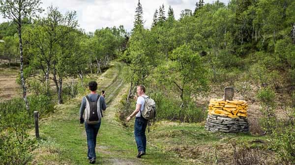 Wandern auf dem St. Olavsleden.