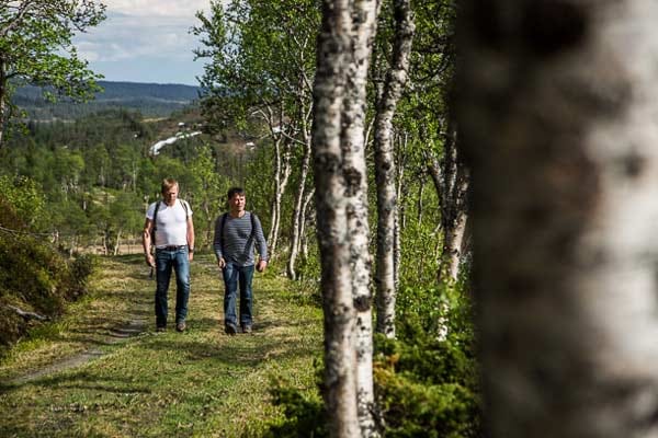 Wandern in Schweden und Norwegen: Pilgerweg St. Olavsleden.