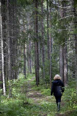 Wandern in Schweden: St. Olavsleden.