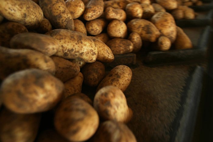 Kartoffel: Für Kartoffeln und Kohl ist eine Lagerung im Keller bei acht bis 16 Grad ideal.