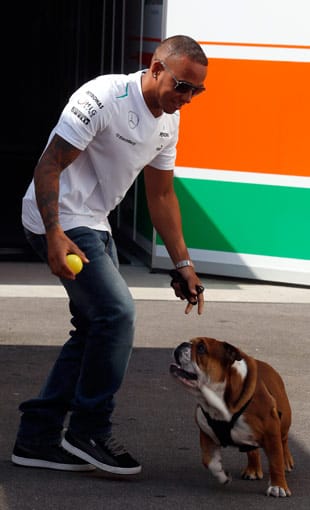 Lewis Hamilton hat immer seinen Hund Roscoe mit dabei. Die Beschäftigung mit dem Tier scheint ein guter Ausgleich für den britischen Top-Piloten zu sein.