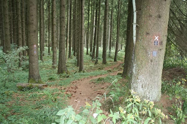 Qualitätswanderwege Wanderbares Deutschland: Veischeder Sonnenpfad.