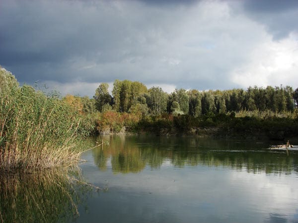 Donau-Insel Szigetköz, Ungarn.