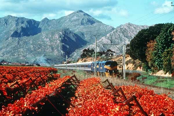 Mehr Luxus beim Reisen als im Blue Train durch Südafrika geht kaum. Dieser Meinung war man zumindest bei den World Travel Awards, wo der Blue Train im Jahr 2009 als luxuriösester Zug der Welt ausgezeichnet wurde.