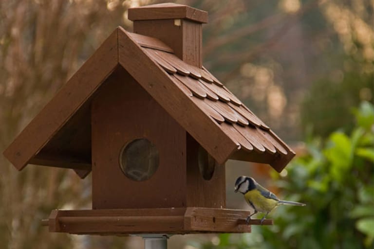 Braunes Vogelhäuschen auf Metallpfahl