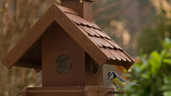 Braunes Vogelhäuschen auf Metallpfahl