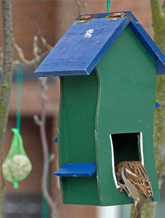 Selbstgebautes buntes Vogelhäuschen aus Holz zum Aufhängen
