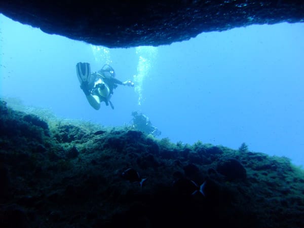 Tauchen in faszinierender Unterwasserwelt.